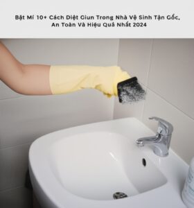 Bật Mí 10+ Cách Diệt Giun Trong Nhà Vệ Sinh Tận Gốc, An Toàn Và Hiệu Quả Nhất 2024