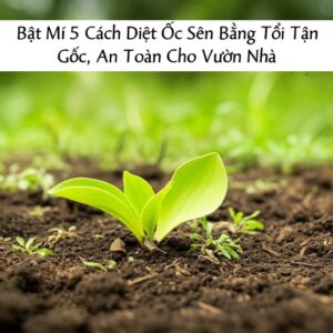 Bật Mí 5 Cách Diệt Ốc Sên Bằng Tỏi Tận Gốc, An Toàn Cho Vườn Nhà