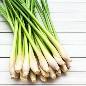 Bật Mí 7+ Cách Làm Thơm Nhà Vệ Sinh Bằng Sả Đơn Giản, Hiệu Quả Tức Thì