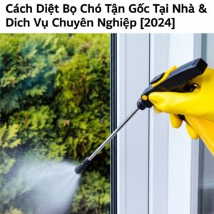 Cách Diệt Bọ Chó Tận Gốc Tại Nhà & Dịch Vụ Chuyên Nghiệp [2024]