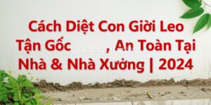 Cách Diệt Con Giời Leo Tận Gốc, An Toàn Tại Nhà & Nhà Xưởng | 2024