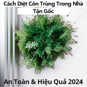 Cách Diệt Côn Trùng Trong Nhà Tận Gốc, An Toàn & Hiệu Quả 2024