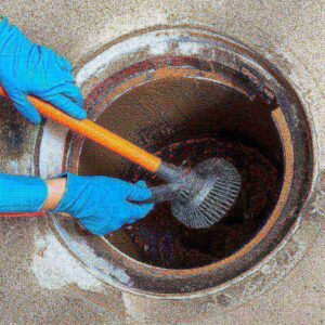 Cách Diệt Gián Dưới Cống Tận Gốc: Hướng Dẫn Chi Tiết Từ Chuyên Gia