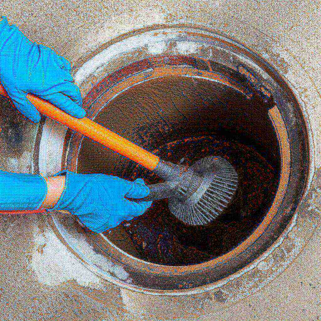 Hình minh họa cho bài viết: Cách Diệt Gián Dưới Cống Tận Gốc: Hướng Dẫn Chi Tiết Từ Chuyên Gia