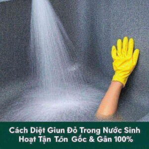 Cách Diệt Giun Đỏ Trong Nước Sinh Hoạt Tận Gốc & An Toàn 100%