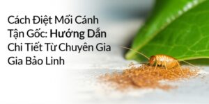 Cách Diệt Mối Cánh Tận Gốc: Hướng Dẫn Chi Tiết Từ Chuyên Gia Bảo Linh