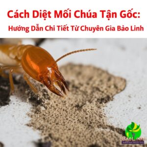 Cách Diệt Mối Chúa Tận Gốc: Hướng Dẫn Chi Tiết Từ Chuyên Gia Bảo Linh