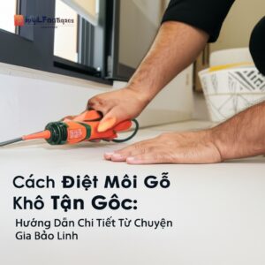 Cách Diệt Mối Gỗ Khô Tận Gốc: Hướng Dẫn Chi Tiết Từ Chuyên Gia Bảo Linh
