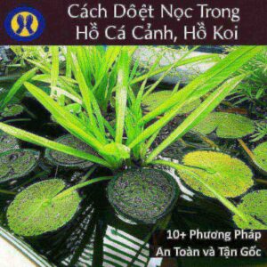 Cách Diệt Nòng Nọc Trong Hồ Cá Cảnh, Hồ Koi: 10+ Phương Pháp An Toàn và Tận Gốc