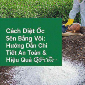 Cách Diệt Ốc Sên Bằng Vôi: Hướng Dẫn Chi Tiết An Toàn & Hiệu Quả Tận Gốc