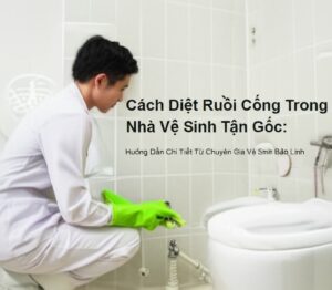 Cách Diệt Ruồi Cống Trong Nhà Vệ Sinh Tận Gốc: Hướng Dẫn Chi Tiết Từ Chuyên Gia Vệ Sinh Bảo Linh