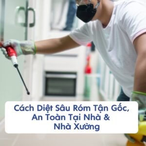 Cách Diệt Sâu Róm Tận Gốc, An Toàn Tại Nhà & Nhà Xưởng