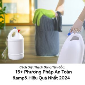 Cách Diệt Thạch Sùng Tận Gốc: 15+ Phương Pháp An Toàn & Hiệu Quả Nhất 2024
