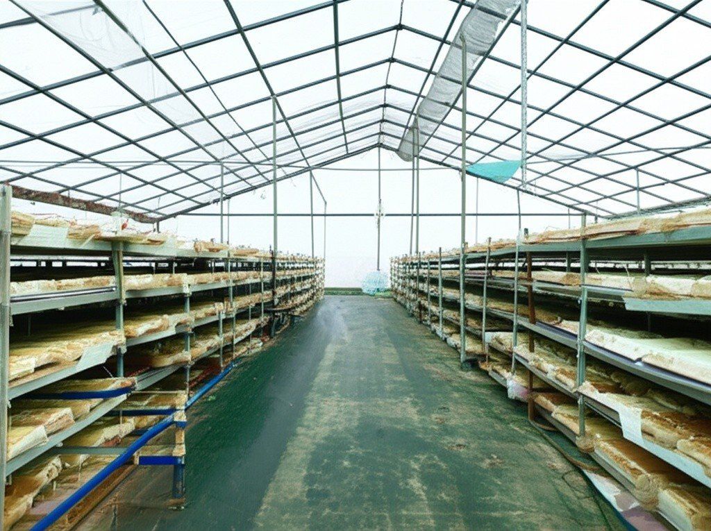 Hình minh họa cho bài viết: Cách Vệ Sinh Nhà Nấm Đúng Chuẩn Kỹ Thuật – Bí Quyết Tối Ưu Năng Suất