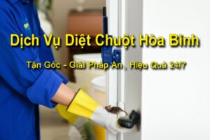 Dịch Vụ Diệt Chuột Hòa Bình Tận Gốc – Giải Pháp An Toàn, Hiệu Quả 24/7