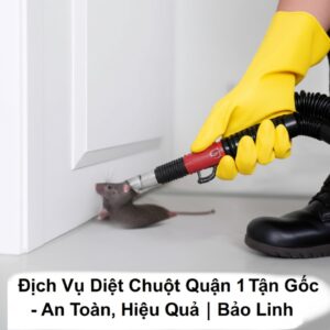 Dịch Vụ Diệt Chuột Quận 1 Tận Gốc – An Toàn, Hiệu Quả | Bảo Linh