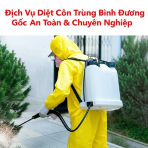 Dịch Vụ Diệt Côn Trùng Bình Dương Tận Gốc, An Toàn & Chuyên Nghiệp