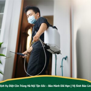 Dịch Vụ Diệt Côn Trùng Hà Nội Tận Gốc – Bảo Hành Dài Hạn | Vệ Sinh Bảo Linh