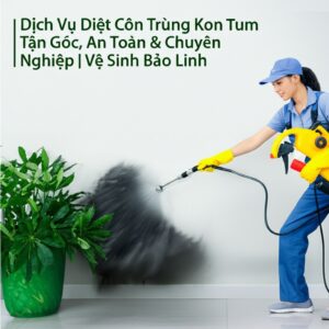 Dịch Vụ Diệt Côn Trùng Kon Tum Tận Gốc, An Toàn & Chuyên Nghiệp | Vệ Sinh Bảo Linh