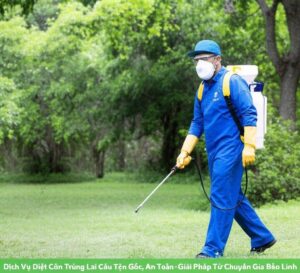 Dịch Vụ Diệt Côn Trùng Lai Châu Tận Gốc, An Toàn – Giải Pháp Từ Chuyên Gia Bảo Linh