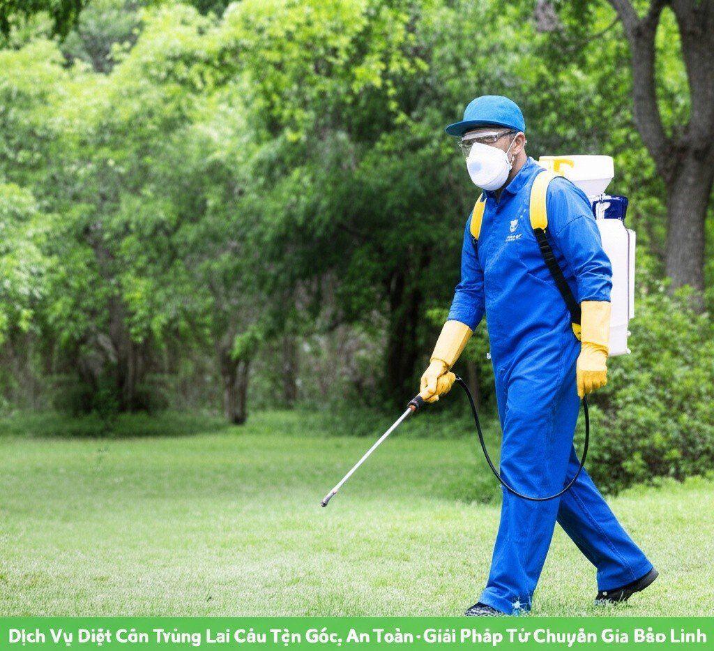 Hình minh họa cho bài viết: Dịch Vụ Diệt Côn Trùng Lai Châu Tận Gốc, An Toàn - Giải Pháp Từ Chuyên Gia Bảo Linh