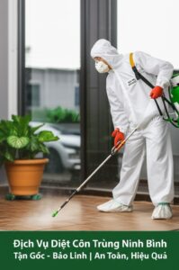 Dịch Vụ Diệt Côn Trùng Ninh Bình Tận Gốc – Bảo Linh | An Toàn, Hiệu Quả