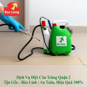 Dịch Vụ Diệt Côn Trùng Quận 2 Tận Gốc – Bảo Linh | An Toàn, Hiệu Quả 100%