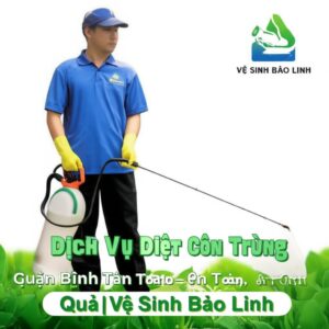 Dịch Vụ Diệt Côn Trùng Quận Bình Tân Tận Gốc – An Toàn, Hiệu Quả | Vệ Sinh Bảo Linh