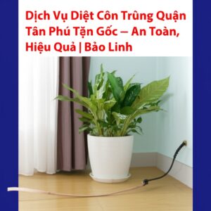 Dịch Vụ Diệt Côn Trùng Quận Tân Phú Tận Gốc – An Toàn, Hiệu Quả | Bảo Linh