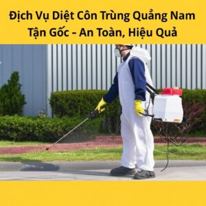 Dịch Vụ Diệt Côn Trùng Quảng Nam Tận Gốc – An Toàn, Hiệu Quả
