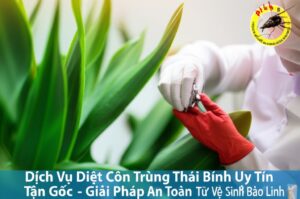 Dịch Vụ Diệt Côn Trùng Thái Bình Uy Tín, Tận Gốc – Giải Pháp An Toàn Từ Vệ Sinh Bảo Linh