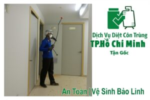 Dịch Vụ Diệt Côn Trùng TP. Hồ Chí Minh Tận Gốc, An Toàn | Vệ Sinh Bảo Linh