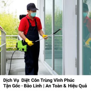 Dịch Vụ Diệt Côn Trùng Vĩnh Phúc Tận Gốc – Bảo Linh | An Toàn & Hiệu Quả
