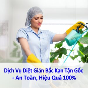 Dịch Vụ Diệt Gián Bắc Kạn Tận Gốc – An Toàn, Hiệu Quả 100%