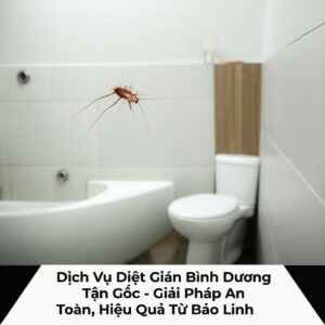 Dịch Vụ Diệt Gián Bình Dương Tận Gốc – Giải Pháp An Toàn, Hiệu Quả Từ Bảo Linh
