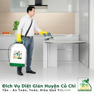 Dịch Vụ Diệt Gián Huyện Củ Chi Tận Gốc – An Toàn, Hiệu Quả Triệt Để 100%