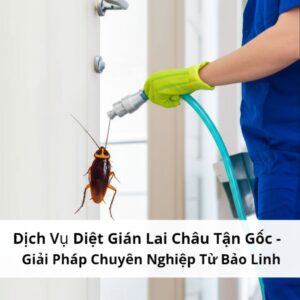 Dịch Vụ Diệt Gián Lai Châu Tận Gốc – Giải Pháp Chuyên Nghiệp Từ Bảo Linh