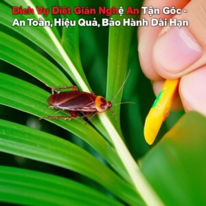 Dịch Vụ Diệt Gián Nghệ An Tận Gốc – An Toàn, Hiệu Quả, Bảo Hành Dài Hạn