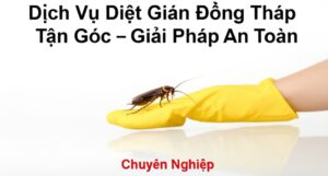 Dịch Vụ Diệt Gián Đồng Tháp Tận Gốc – Giải Pháp An Toàn, Chuyên Nghiệp