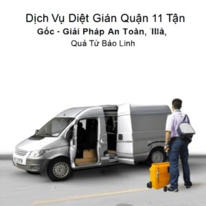 Dịch Vụ Diệt Gián Quận 11 Tận Gốc – Giải Pháp An Toàn, Hiệu Quả Từ Bảo Linh