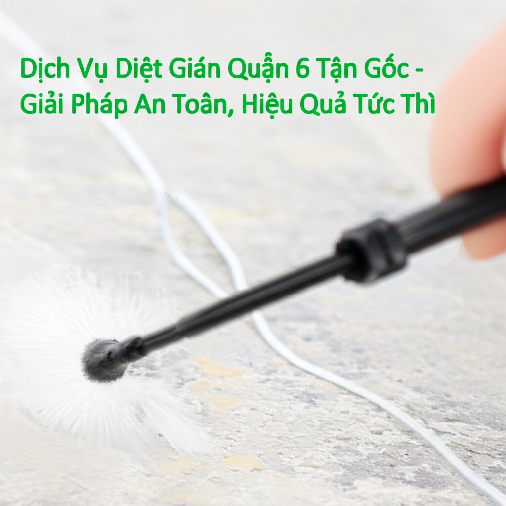 Hình minh họa cho bài viết: Dịch Vụ Diệt Gián Quận 6 Tận Gốc - Giải Pháp An Toàn, Hiệu Quả Tức Thì