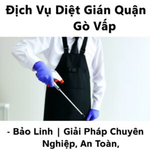 Dịch Vụ Diệt Gián Quận Gò Vấp Tận Gốc – Bảo Linh | Giải Pháp Chuyên Nghiệp, An Toàn