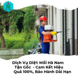 Dịch Vụ Diệt Mối Hà Nam Tận Gốc – Cam Kết Hiệu Quả 100%, Bảo Hành Dài Hạn