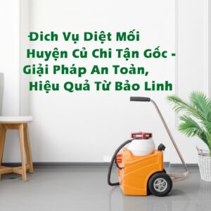 Dịch Vụ Diệt Mối Huyện Củ Chi Tận Gốc – Giải Pháp An Toàn, Hiệu Quả Từ Bảo Linh