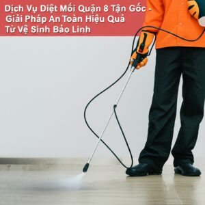 Dịch Vụ Diệt Mối Quận 8 Tận Gốc – Giải Pháp An Toàn, Hiệu Quả Từ Vệ Sinh Bảo Linh