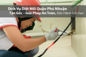 Dịch Vụ Diệt Mối Quận Phú Nhuận Tận Gốc – Giải Pháp An Toàn, Bảo Hành Dài Hạn