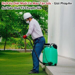 Dịch Vụ Diệt Muỗi Cà Mau Tận Gốc – Giải Pháp An Toàn, Hiệu Quả Từ Chuyên Gia