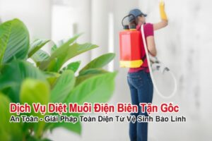 Dịch Vụ Diệt Muỗi Điện Biên Tận Gốc, An Toàn – Giải Pháp Toàn Diện Từ Vệ Sinh Bảo Linh