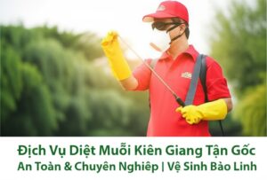 Dịch Vụ Diệt Muỗi Kiên Giang Tận Gốc, An Toàn & Chuyên Nghiệp | Vệ Sinh Bảo Linh