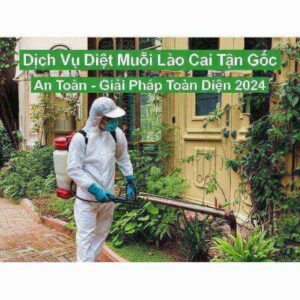 Dịch Vụ Diệt Muỗi Lào Cai Tận Gốc, An Toàn – Giải Pháp Toàn Diện 2024